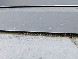 acastle
                          194690.jpg